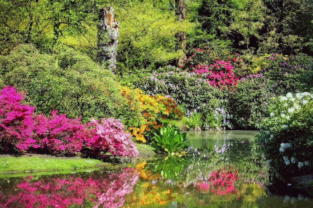 Trompenburg Tuinen & Arboretum